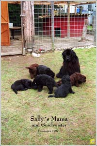 Sally Pelznase 02a