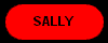  SALLY 